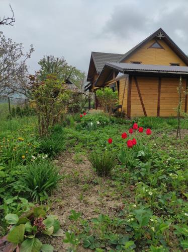 a garden with red flowers in front of a house at Nad Cheremoshem in Tyudiv