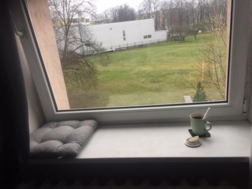 een vensterbank met een kopje koffie en een kussen bij Poilsio kampelis virš cukrainės Druskininkuose in Druskininkai
