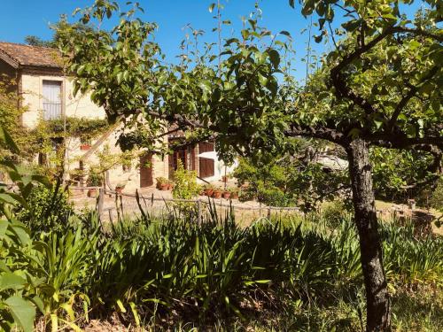 an apple tree in front of a house at Effimera - Relaxing Retreat in Citta' Sant'Angelo