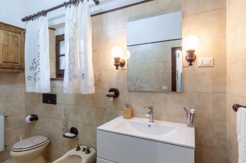 a bathroom with a sink and a toilet and a mirror at Casa vacanze La Capannina in Pieve Fosciana