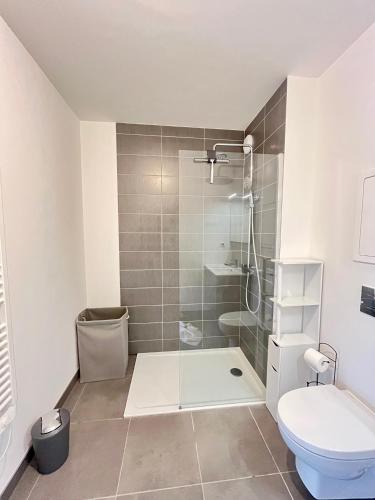 une salle de bain avec douche et toilettes dans l'établissement Amsterdam - Bel appartement, à Bezannes