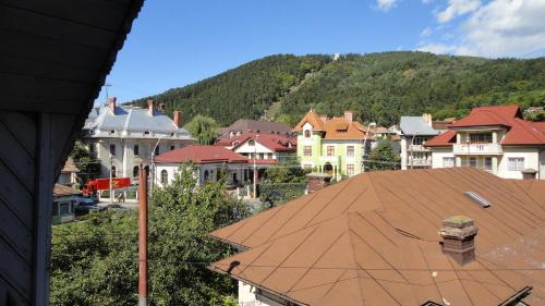 a view of a town with houses and a mountain at Vila Villador in Piatra Neamţ