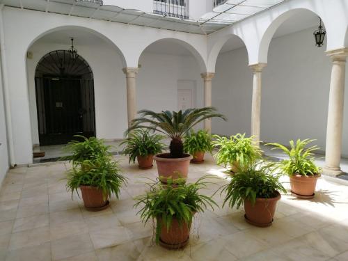 a row of potted plants in a courtyard at Suite Apartament Cathedral in Seville