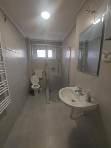 ein Bad mit einem Waschbecken, einer Dusche und einem WC in der Unterkunft Gerardus Apartmani 2 in Vršac