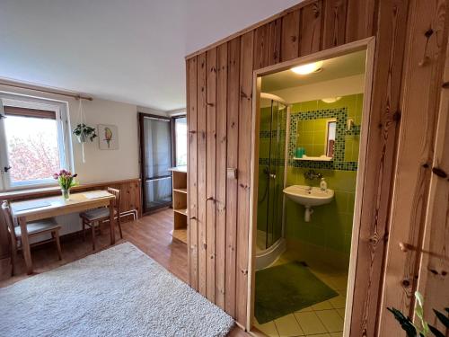 a bathroom with a shower and a sink and a toilet at Penzion Petra in Telč