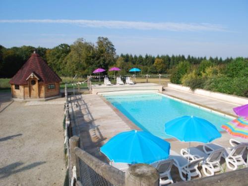 a swimming pool with chairs and umbrellas at Viola in Asquins