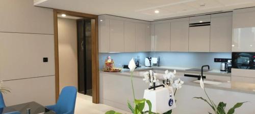 Kuchyň nebo kuchyňský kout v ubytování Bluewaters luxury apartment