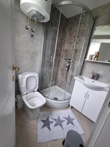 a bathroom with a shower and a toilet and a sink at Villa with Pool & Garden apartment 1 Ognjen in Tivat