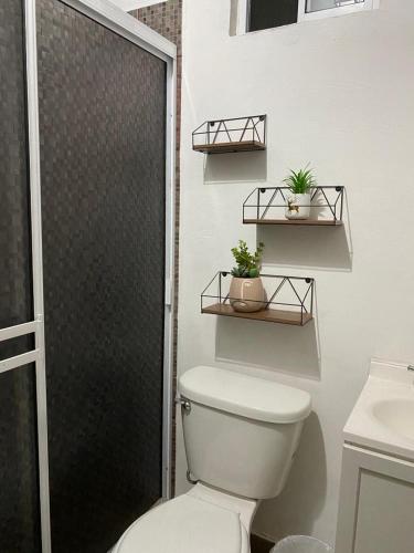a bathroom with a toilet and a shower with two shelves at Cabaña en Rancho los reyes in Tijuana