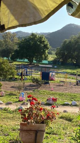 a park with a flower pot and a playground at Cabaña en Rancho los reyes in Tijuana