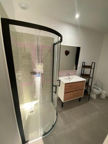 a bathroom with a shower and a sink and a toilet at Vacances Vallée de la Dordogne in Souillac