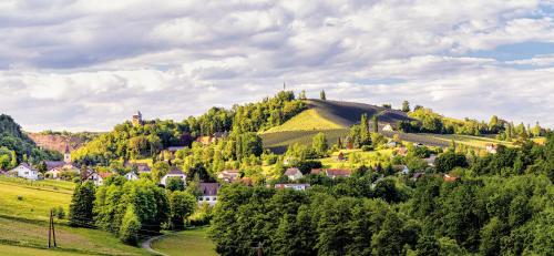 a town on top of a hill with trees at Chalet Auszeit in Klöch