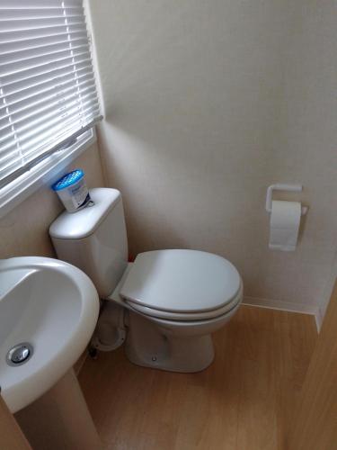 a bathroom with a white toilet and a sink at Ocean Heights 5 star site NewQuay in Llanllwchaiarn