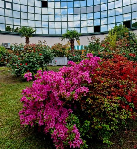a garden of flowers in front of a building at Victoria Royal Garden in Como