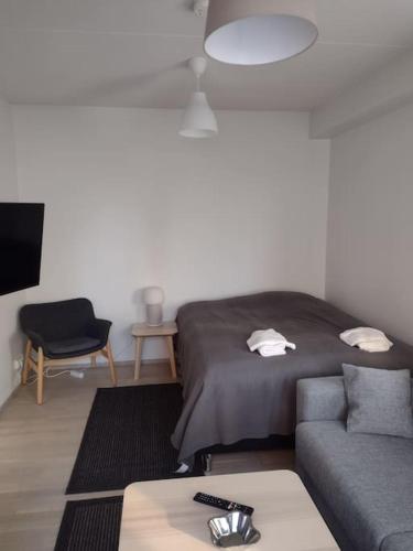 a living room with a bed and a couch at New apparment near of Airport, in Tikkurila in Vantaa