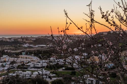 a sunset over a city with a tree in the foreground at Apartamento Sunset on the Sea in Albufeira