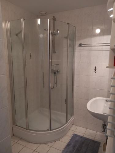 a shower stall in a bathroom with a sink at Waterhuis Friesland in Oudwoude