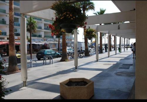 einen leeren Bürgersteig mit Topfpflanzen auf einem Gebäude in der Unterkunft Canet plage T2 + cabine clim et piscine in Canet-en-Roussillon