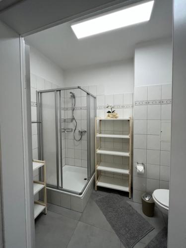 een badkamer met een douche en een toilet bij Apartment Am Petersberg Erfurt in Erfurt