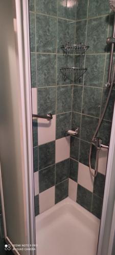 a bathroom with a shower with green and white tiles at Apartman MWA in Slavonski Brod
