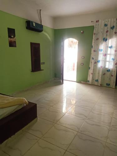 a room with green walls and a bed and a window at Palm Valley camp in Nuweiba‘ el Muzeinah