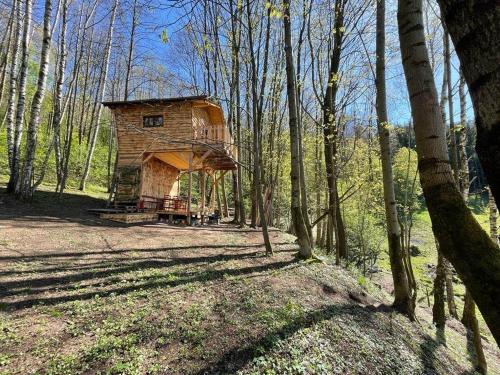 ein Baumhaus mitten im Wald in der Unterkunft Treehouse Velké Losiny in Velké Losiny