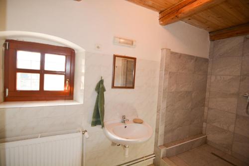 a bathroom with a sink and a shower at Penzion Květná Zahrada in Květná