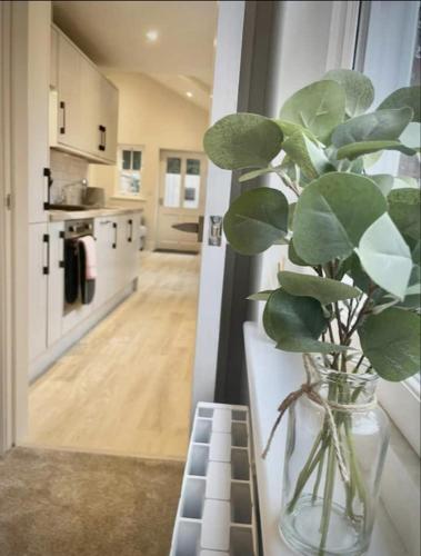 a vase with a plant sitting on a counter in a kitchen at Moat View FREE PARKING, CENTRAL, EV PLUG in York