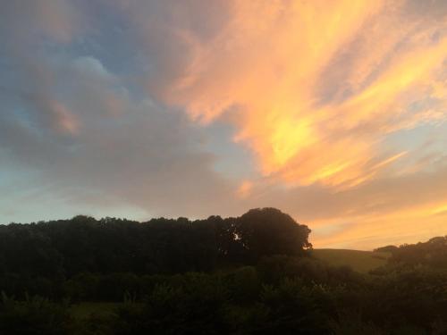 a sunset over a field with trees in the foreground at Bowhayes Farm - Camping & Glamping - Bell Tents - Cider Orchard in Venn Ottery