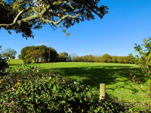 a lush green field with a fence and trees at Bowhayes Farm - Camping & Glamping - Bell Tents - Cider Orchard in Venn Ottery