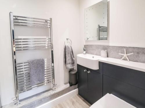 a bathroom with a sink and a shower at 4 Railway Terrace in Conwy