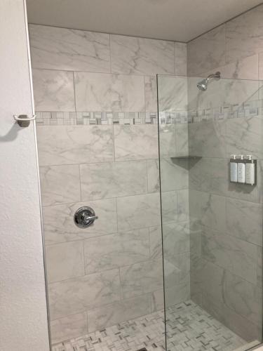 Elker Inn & Suites في Ridgway: كشك للاستحمام مع باب زجاجي في الحمام