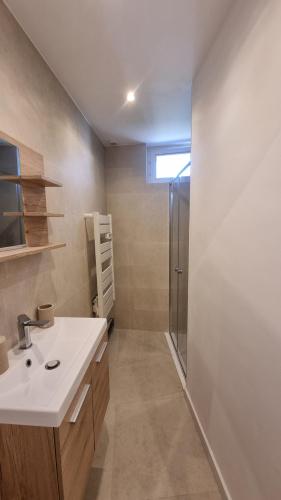 Kamar mandi di En plein coeur de Pélissanne - 55 m2 rénovés - Avec Parking