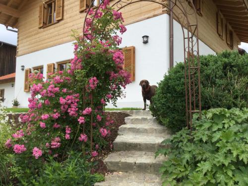 Κήπος έξω από το Ferienwohnung am Dreiseithof