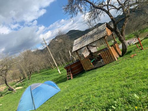 a tent in the grass next to a cabin at RUSTIC SEJOUR CASA MOUNTAIN,Roşia Montana in Roşia Montană