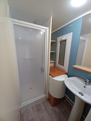 a bathroom with a shower and a sink at Wakacyjny domek Marcel in Duszniki Zdrój