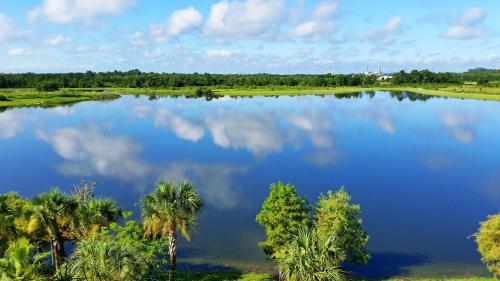 an aerial view of a lake with palm trees at Resort Townhome: Perfect Orlando Vacation Spot in Orlando