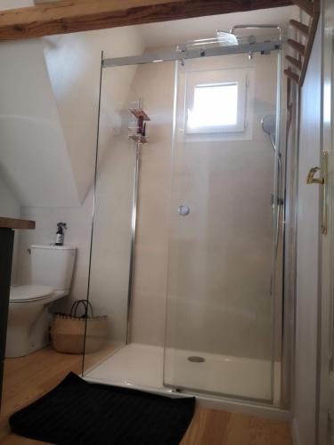 une douche avec une porte vitrée dans une salle de bain dans l'établissement Chambre d'hôtes avec petit déjeuner, au Mans