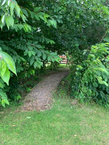 a dirt path through a hedge with trees and grass at Windyridge in Aghagallon