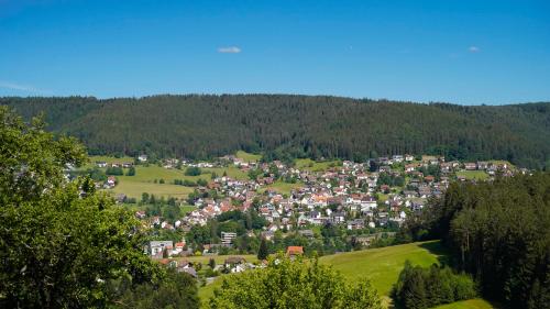 an aerial view of a small town in a forest at RECHTMURG 27 in Baiersbronn