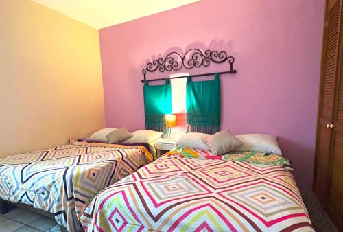 Duas camas num quarto com paredes cor-de-rosa e roxo em Sofia Hostel Cabo em Cabo San Lucas