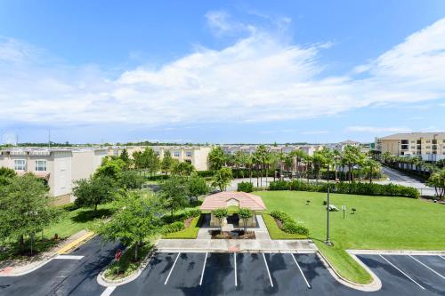Florida Palms photo 17