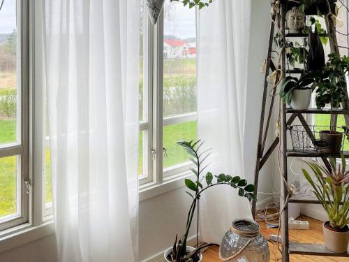 a room with two windows with white curtains and plants at 4 person holiday home in Spekeröd-By Traum in Spekeröd