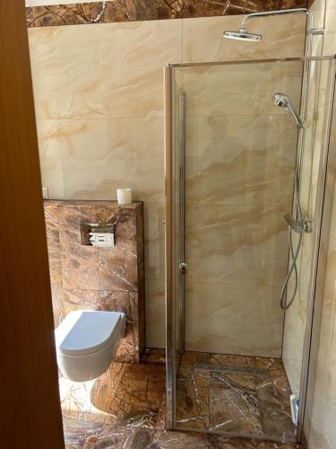 a bathroom with a shower and a toilet in it at Leśna Residence & SPA in Pisz