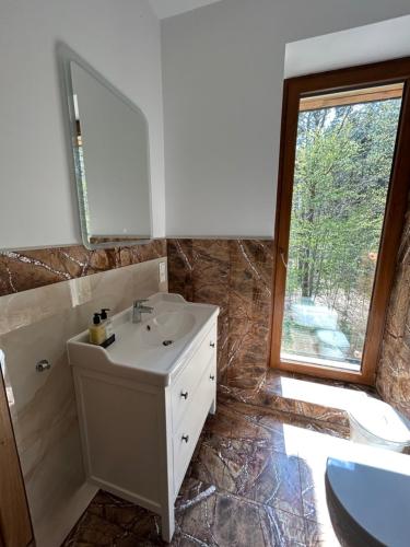 a bathroom with a sink and a mirror and a window at Leśna Residence & SPA in Pisz