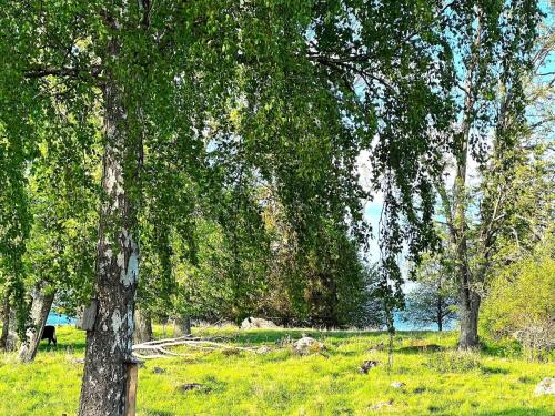 a group of trees in a field with a body of water at 6 person holiday home in HOVA-By Traum in Hova
