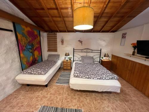 Легло или легла в стая в Fincasol