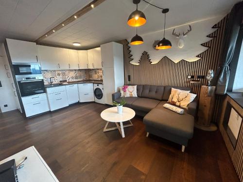 ショナッハにあるApartment Fabelwald Black Forestのソファとテーブルのあるリビングルーム
