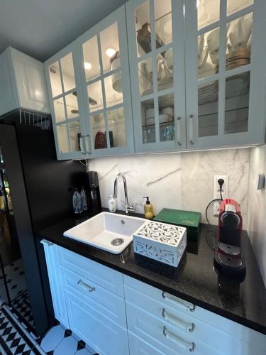 a kitchen with a sink and a counter top at Leśna Residence & SPA in Pisz