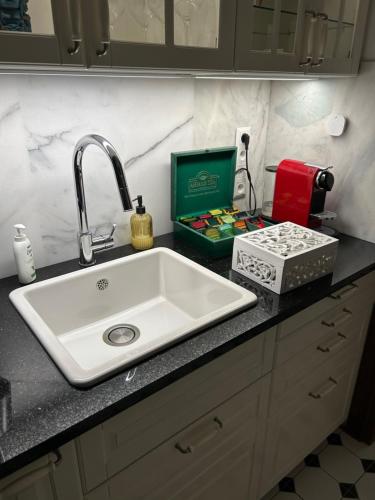a kitchen counter with a sink and a box of soap at Leśna Residence & SPA in Pisz